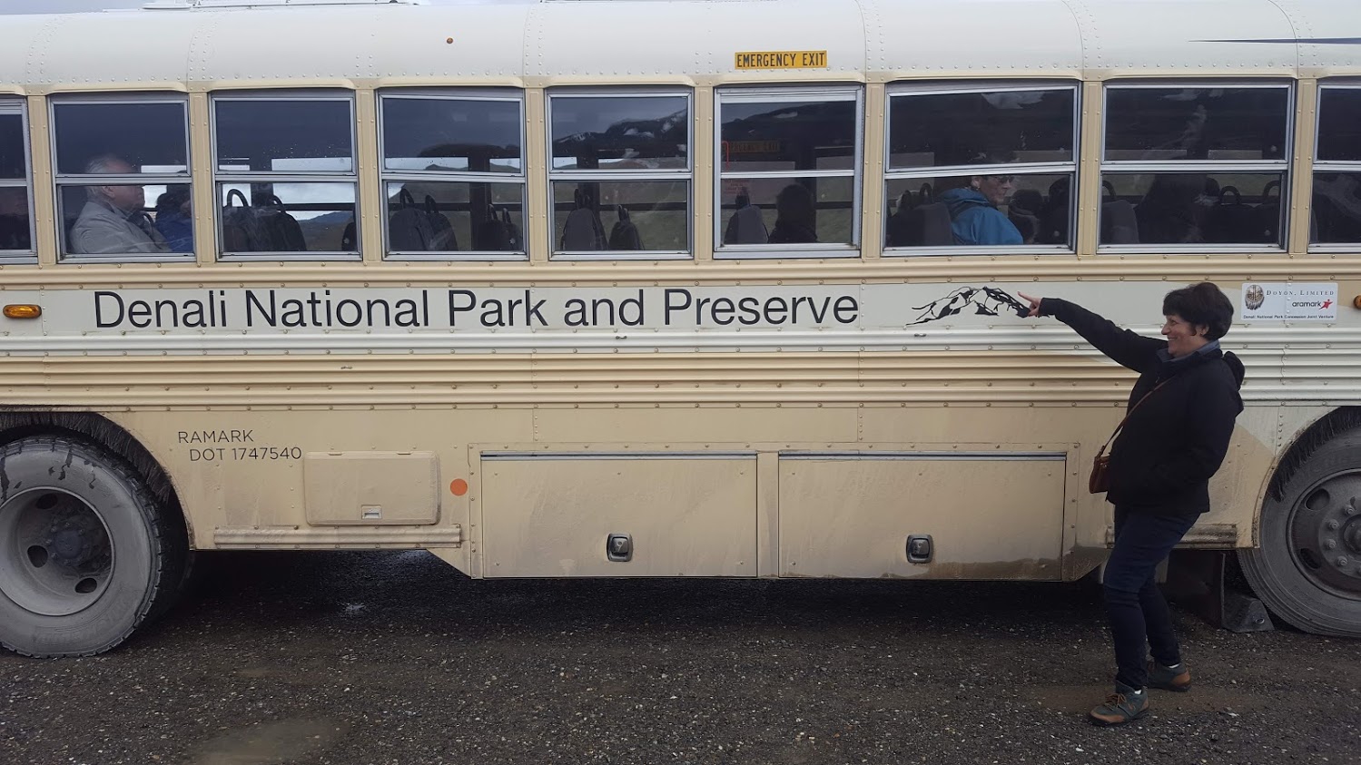 Denali buss