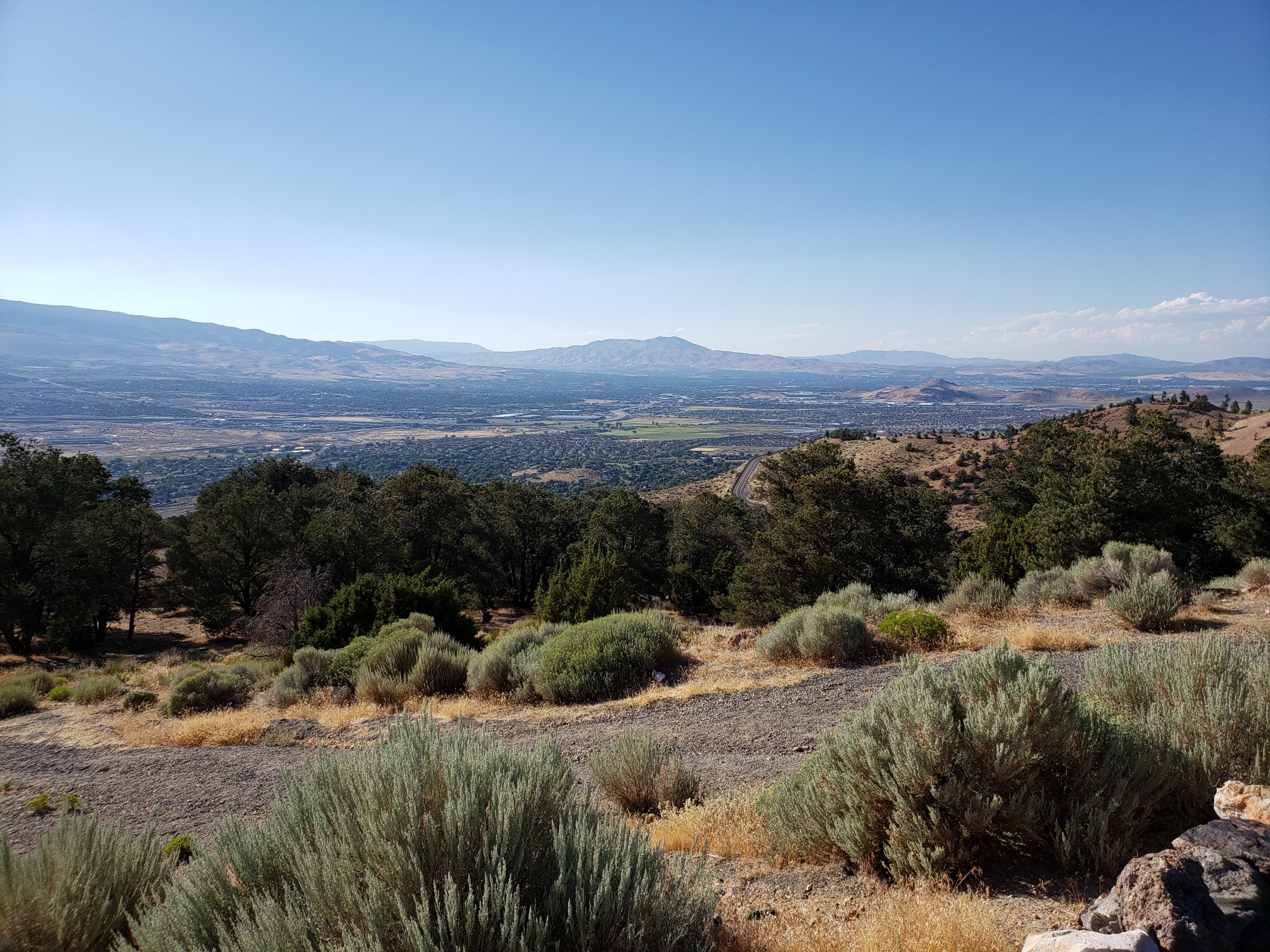 20190816_173109_resized_1