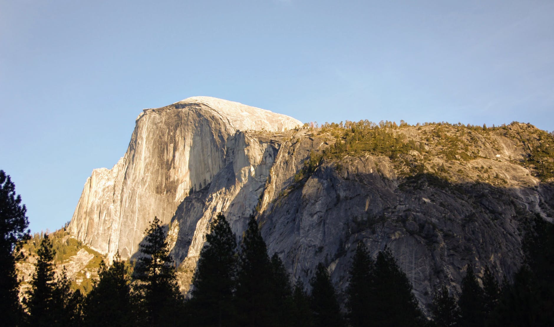 trees under white cliff